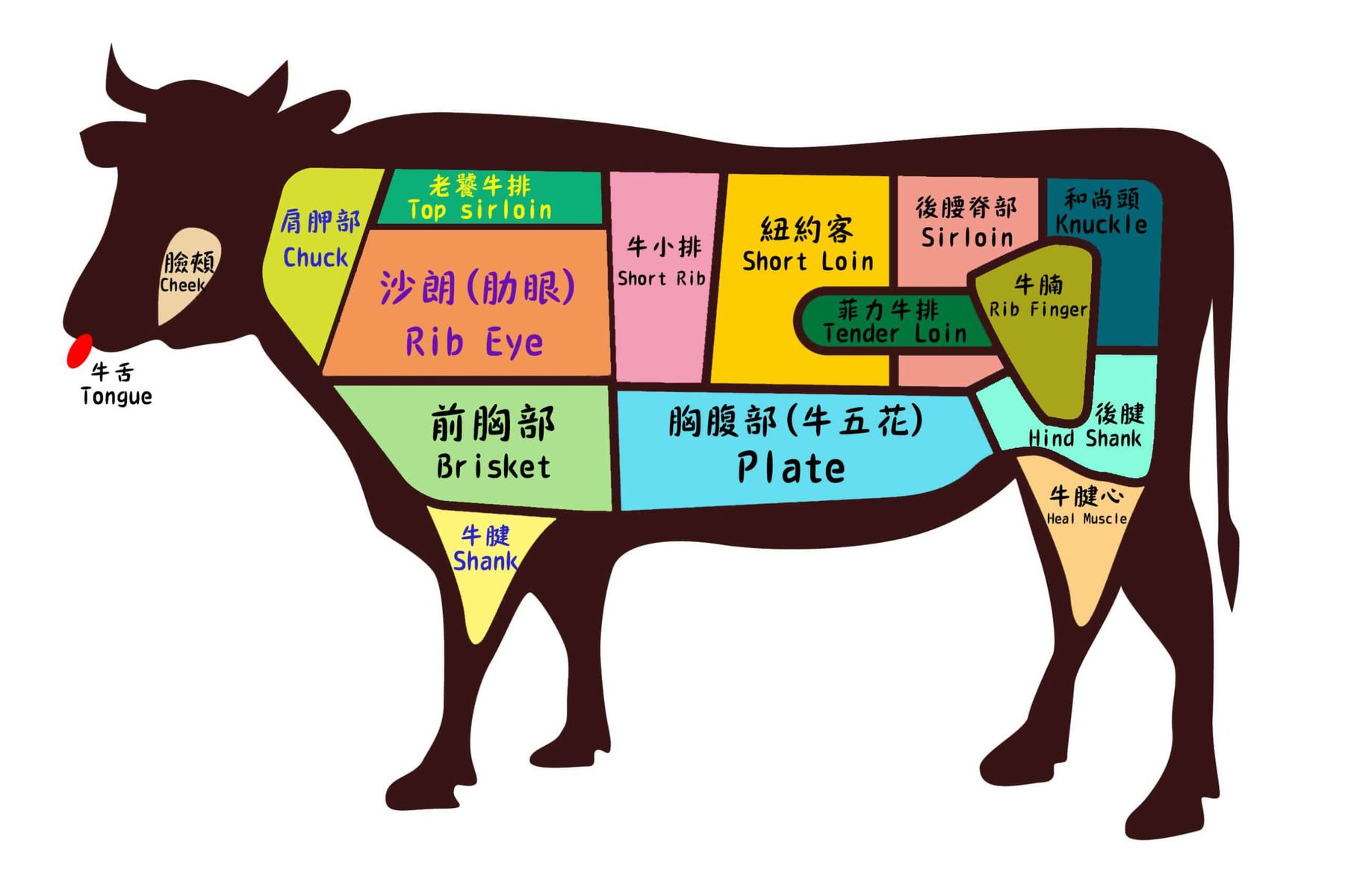 牛肉部位分解图图片素材-编号24507577-图行天下